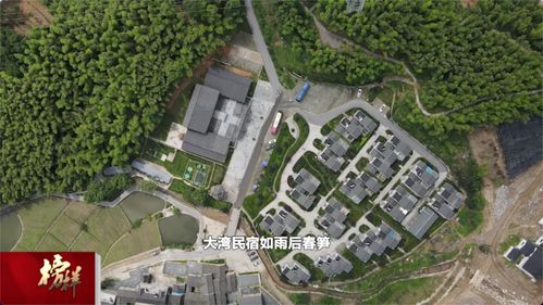 綠色大灣村 紅色旅游與茶香迎客，繪就特色發展新畫卷